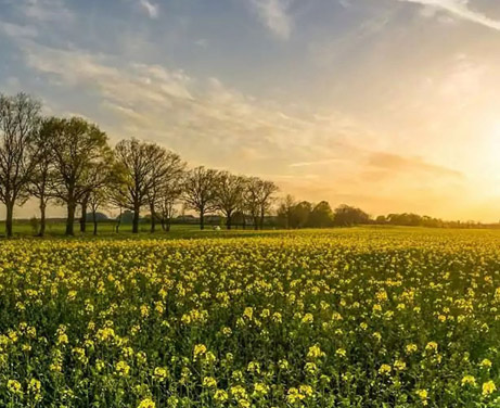 Wealth Management - Dryden Partners