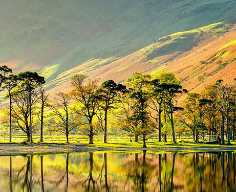 Wealth Management - Dryden Partners